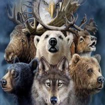 Animaux-totem-isabelle-raby-psy-chamane-Nice