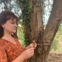 Isabelle Raby pour mémoire des murs et perturbations des lieux