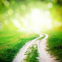 chemin de vie et mission d'incarnation par Isabelle Raby psy et chamane