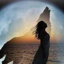 Isabelle Raby vous ralie à votre sagesse instinctive à l'aide de l'animal totem