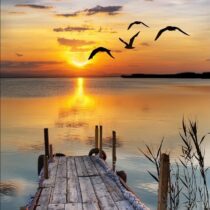 pont vers coucher d esoleil