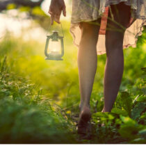 soin chamanique de la blessure d'incarnation par Isabelle Raby psy et chamane